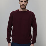 Maglioncino Uomo Lana Extrafine Maglia Girocollo Massimo - Rifò Lab Moda circolare made in Italy
Viola Uva